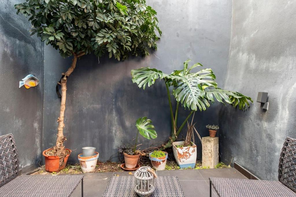 16 Rc - Central Lisbon Patio Exterior photo